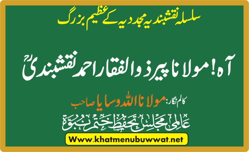 مولانا پیر ذوالفقار احمدنقشبندیؒ حیات وخدمات